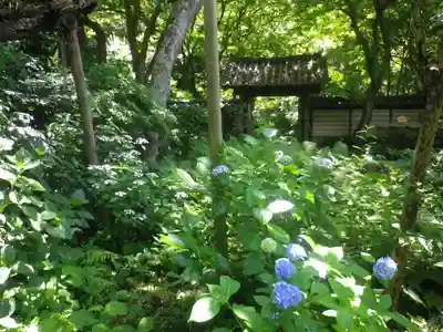瑞泉寺のその他建物