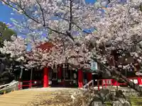 市原稲荷神社の自然