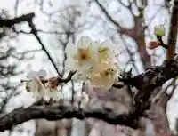 西向天神社(東京都)