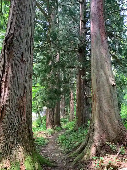大山祇神社の自然