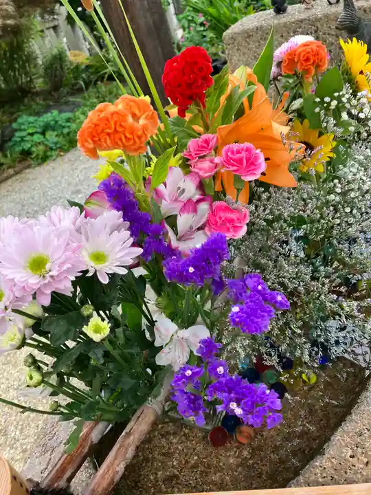 水堂須佐男神社(兵庫県)