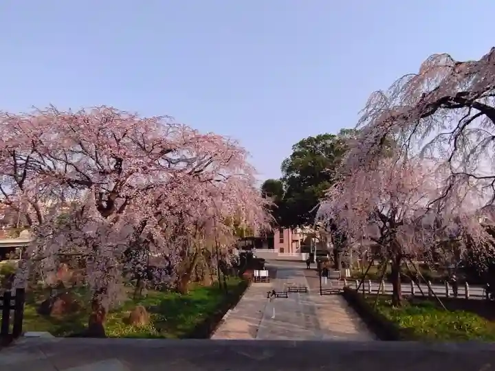 東郷寺(東京都)