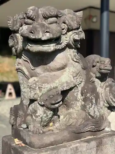 白山神社の狛犬