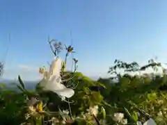 和神社(長野県)