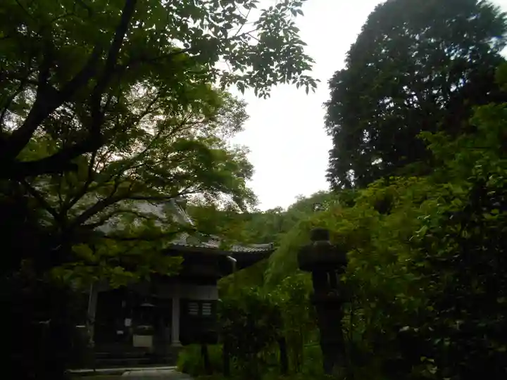 安國論寺(安国論寺)の景色