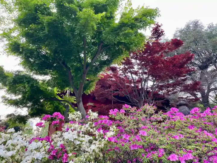 清水観音堂(東京都)