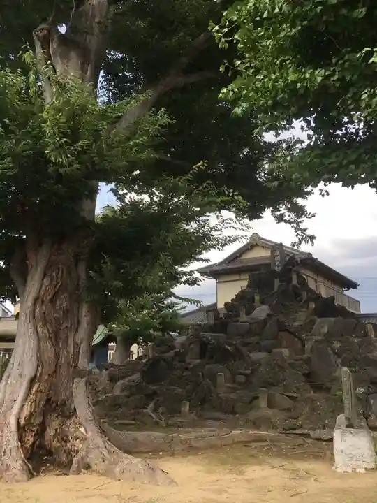 五井若宮八幡神社のその他建物