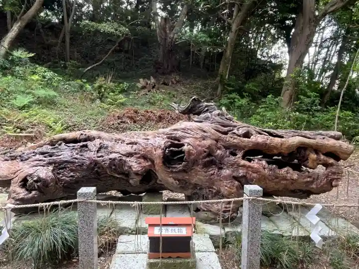 泉神社の{uncategorized: "未分類", other: "その他", undefined: "問題あり", building: "その他建物", grave: "お墓", sacred_gate: "鳥居", guardian: "狛犬", statue: "像", buddha: "仏像", history: "歴史", nature: "自然", garden: "庭園", animal: "動物", pagoda: "塔", temizu: "手水舎", mountain_gate: "山門・神門", sanctuary: "本殿・本堂", subordinate: "末社・摂社", art: "芸術", scenery: "景色", jizo: "地蔵", ema: "絵馬", goshuin: "御朱印", omikuji: "おみくじ", items: "授与品その他", amulet: "お守り", goshuincho: "御朱印帳", eats: "食事", festival: "お祭り", votive_dance: "神楽", shichigosan: "七五三参", wedding: "結婚式", experience: "体験その他", initially: "初詣", around: "周辺", anti_infection: "感染症対策"}