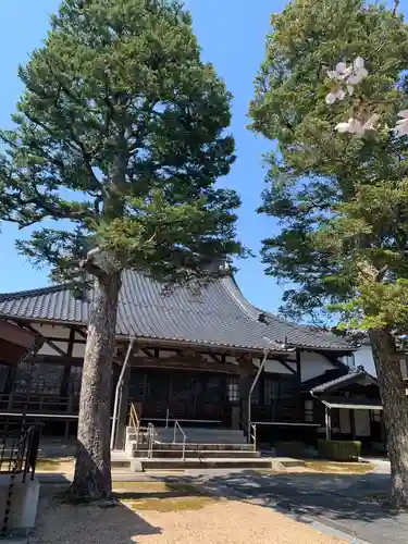 徳証寺の本殿・本堂