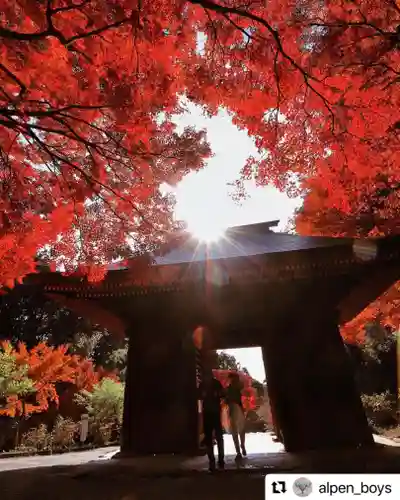 普門寺(切り絵御朱印発祥の寺)の山門