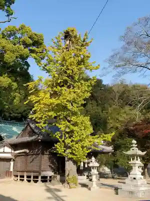 三島神社の自然
