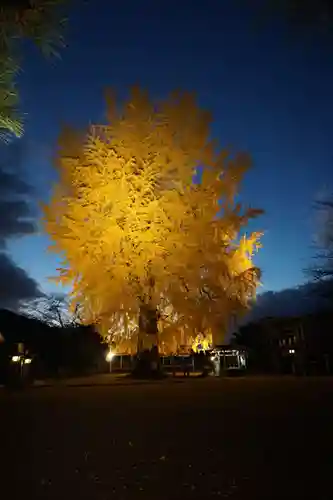 丹生酒殿神社の自然