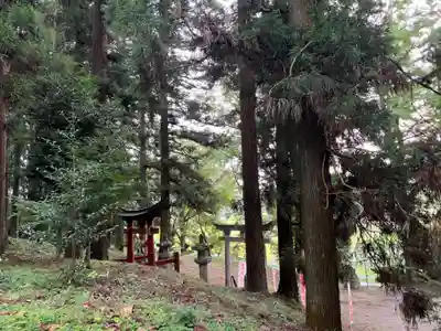 大宮温泉神社(栃木県)
