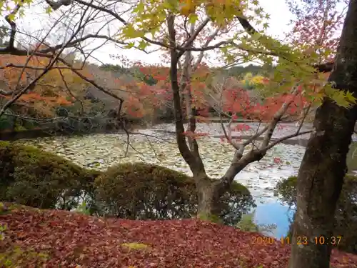 龍安寺の庭園