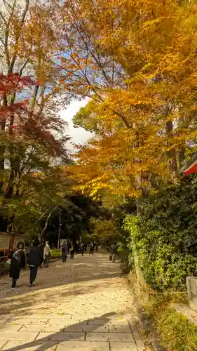 賀茂御祖神社（下鴨神社）(京都府)