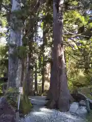 白山中居神社(岐阜県)