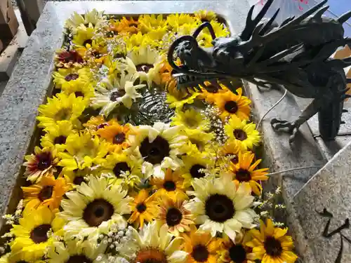 札幌諏訪神社の手水舎