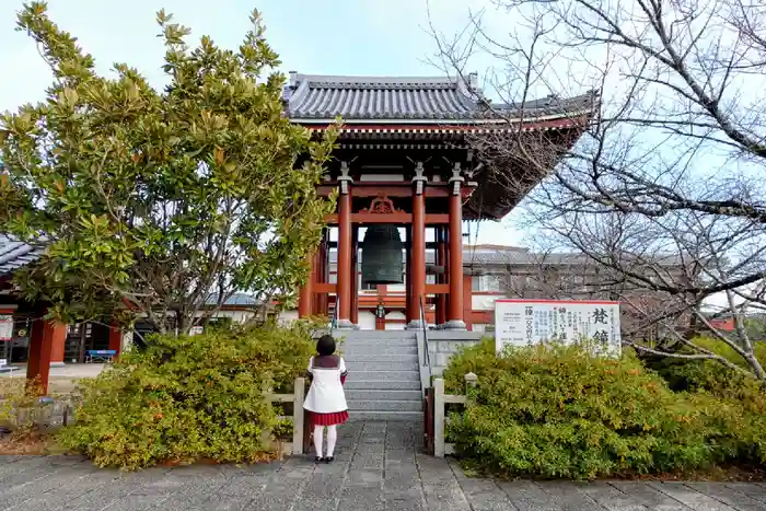 一畑山薬師寺 岡崎本堂の建物その他