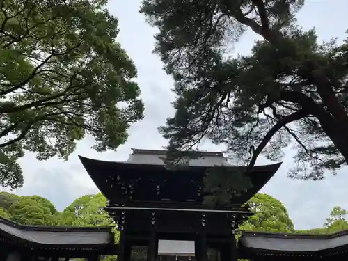 明治神宮(東京都)