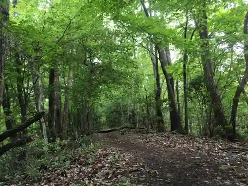 佐々牟志神社の自然