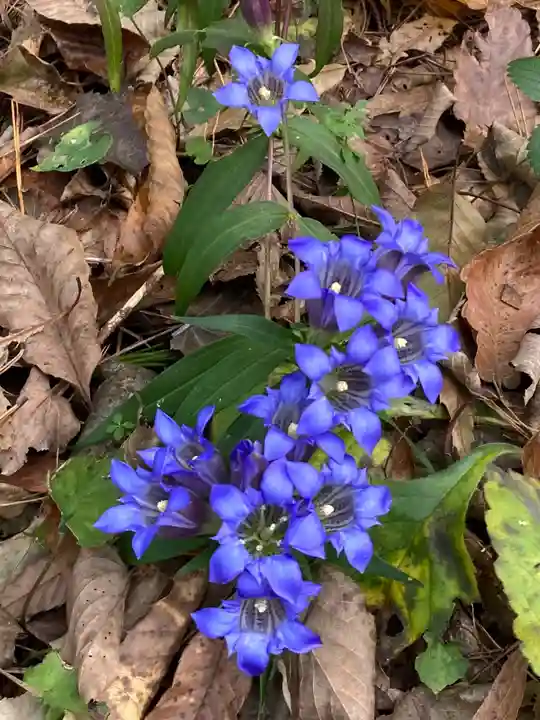 十二山神社(群馬県)