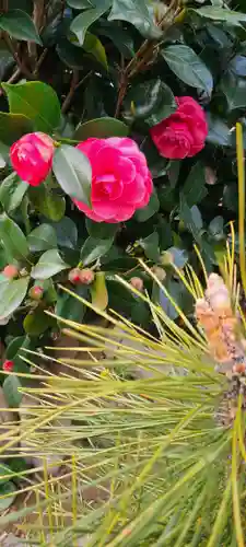横浜御嶽神社(神奈川県)