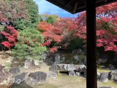 圓徳院(京都府)