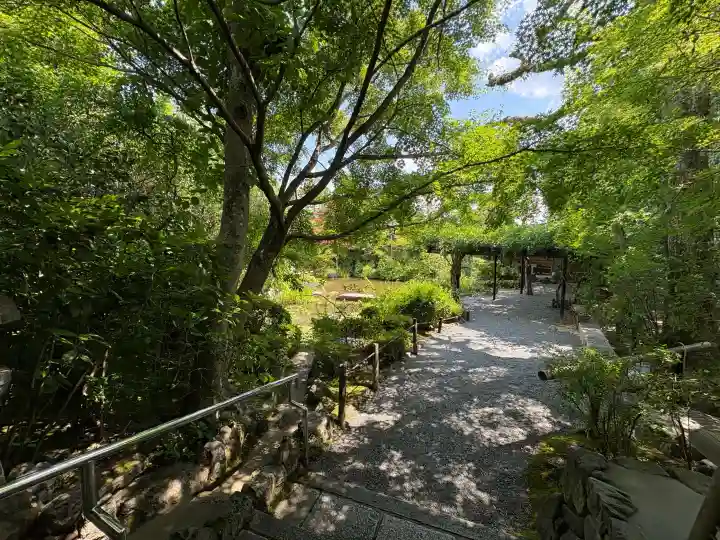 退蔵院(京都府)