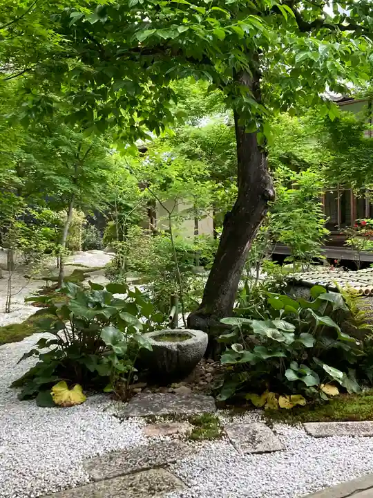 興聖寺(京都府)