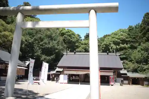 常磐神社の鳥居