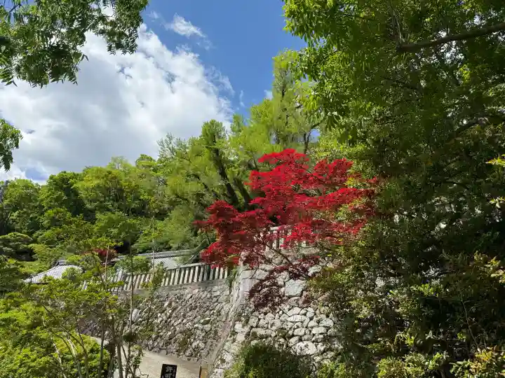 葛城一言主神社の{uncategorized: "未分類", other: "その他", undefined: "問題あり", building: "その他建物", grave: "お墓", sacred_gate: "鳥居", guardian: "狛犬", statue: "像", buddha: "仏像", history: "歴史", nature: "自然", garden: "庭園", animal: "動物", pagoda: "塔", temizu: "手水舎", mountain_gate: "山門・神門", sanctuary: "本殿・本堂", subordinate: "末社・摂社", art: "芸術", scenery: "景色", jizo: "地蔵", ema: "絵馬", goshuin: "御朱印", omikuji: "おみくじ", items: "授与品その他", amulet: "お守り", goshuincho: "御朱印帳", eats: "食事", festival: "お祭り", votive_dance: "神楽", shichigosan: "七五三参", wedding: "結婚式", experience: "体験その他", initially: "初詣", around: "周辺", anti_infection: "感染症対策"}