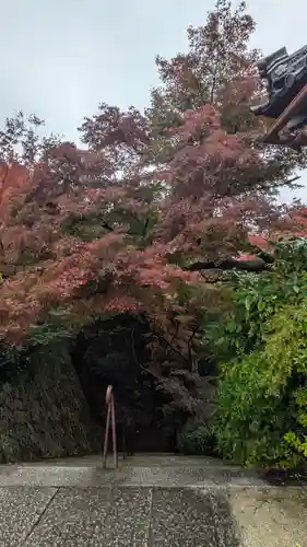 観音寺（山崎聖天）(京都府)