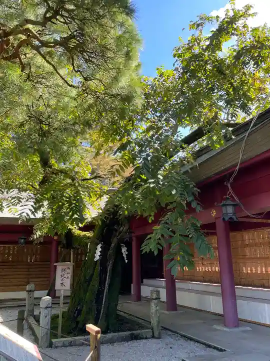 笠間稲荷神社(茨城県)
