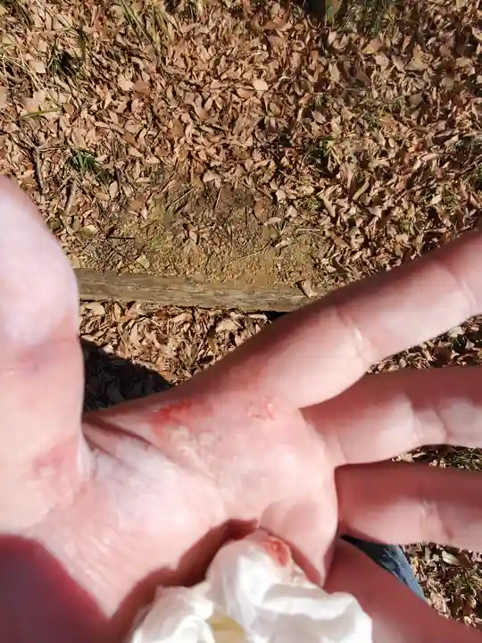 定年寺(栃木県)