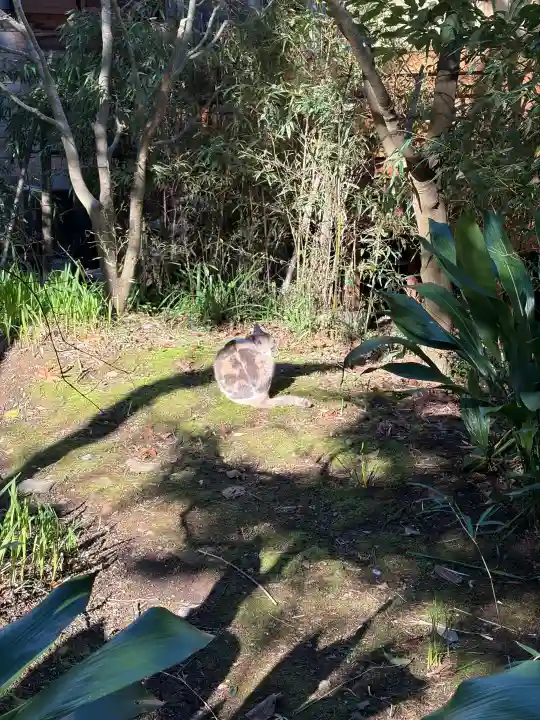 かっぱの寺 栖足寺の{uncategorized: "未分類", other: "その他", undefined: "問題あり", building: "その他建物", grave: "お墓", sacred_gate: "鳥居", guardian: "狛犬", statue: "像", buddha: "仏像", history: "歴史", nature: "自然", garden: "庭園", animal: "動物", pagoda: "塔", temizu: "手水舎", mountain_gate: "山門・神門", sanctuary: "本殿・本堂", subordinate: "末社・摂社", art: "芸術", scenery: "景色", jizo: "地蔵", ema: "絵馬", goshuin: "御朱印", omikuji: "おみくじ", items: "授与品その他", amulet: "お守り", goshuincho: "御朱印帳", eats: "食事", festival: "お祭り", votive_dance: "神楽", shichigosan: "七五三参", wedding: "結婚式", experience: "体験その他", initially: "初詣", around: "周辺", anti_infection: "感染症対策"}