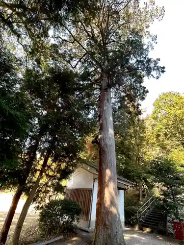日吉神社(滋賀県)