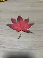 大宮温泉神社(栃木県)