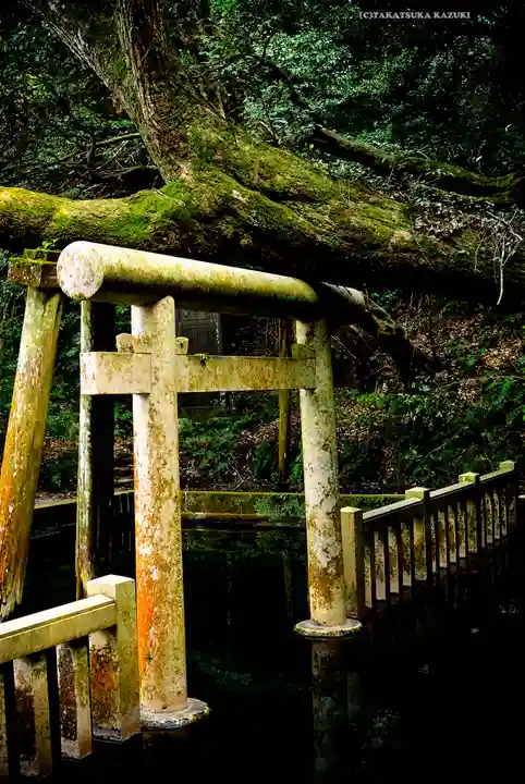 奥宮(鹿島神宮摂社)(茨城県)