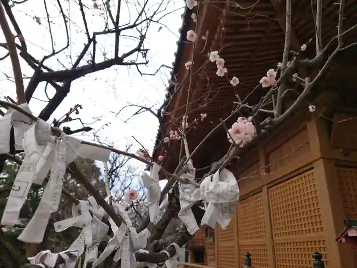 蒲原神社の自然