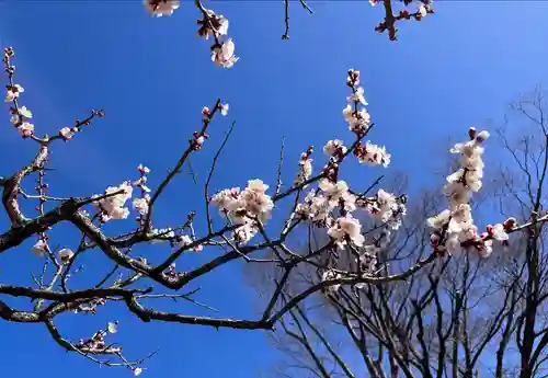 眞田神社(長野県)