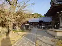 雪蹊寺(高知県)