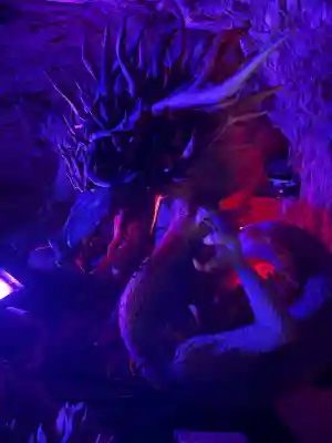 江の島岩屋(神奈川県)