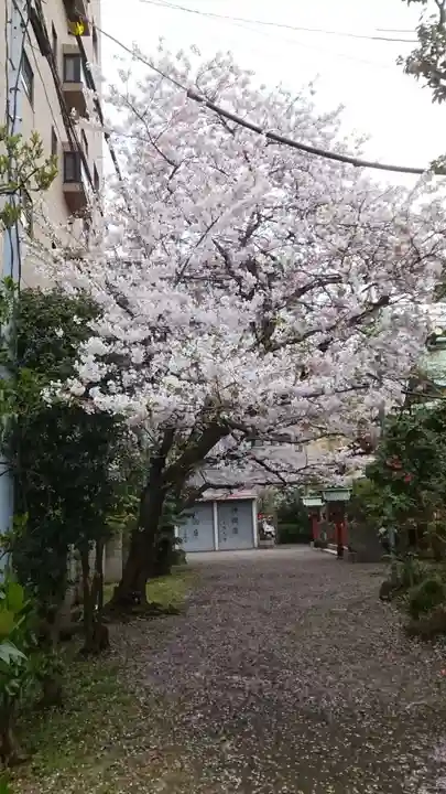 秋葉神社(東京都)