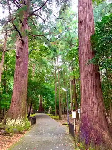 若狭彦神社（上社）の建物その他