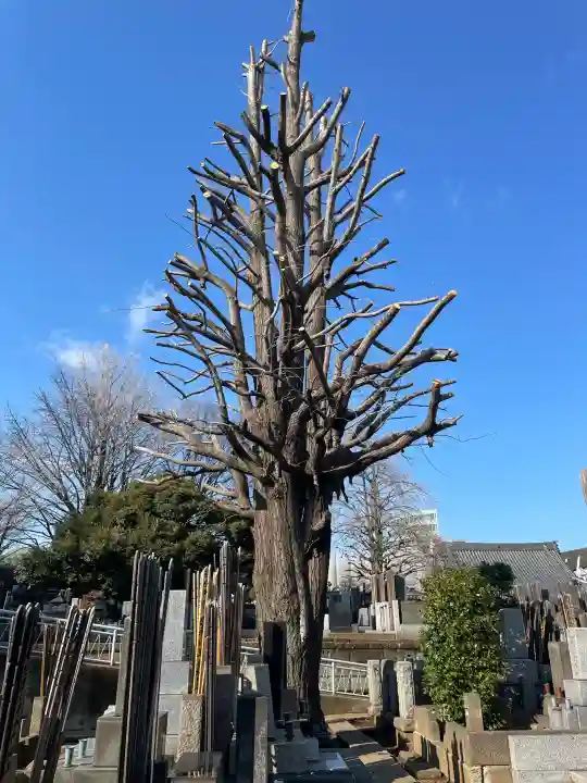 仙寿院の{uncategorized: "未分類", other: "その他", undefined: "問題あり", building: "その他建物", grave: "お墓", sacred_gate: "鳥居", guardian: "狛犬", statue: "像", buddha: "仏像", history: "歴史", nature: "自然", garden: "庭園", animal: "動物", pagoda: "塔", temizu: "手水舎", mountain_gate: "山門・神門", sanctuary: "本殿・本堂", subordinate: "末社・摂社", art: "芸術", scenery: "景色", jizo: "地蔵", ema: "絵馬", goshuin: "御朱印", omikuji: "おみくじ", items: "授与品その他", amulet: "お守り", goshuincho: "御朱印帳", eats: "食事", festival: "お祭り", votive_dance: "神楽", shichigosan: "七五三参", wedding: "結婚式", experience: "体験その他", initially: "初詣", around: "周辺", anti_infection: "感染症対策"}