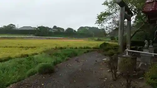 稲荷神社の自然