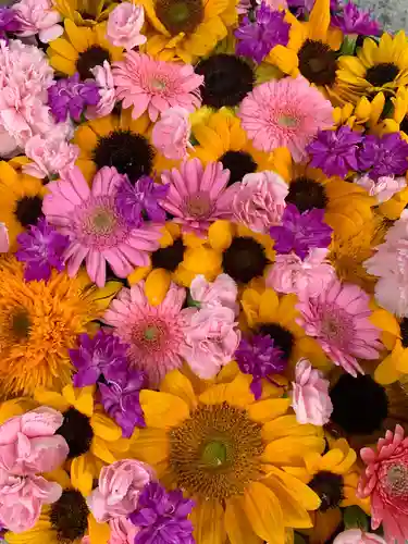 彌都加伎神社の手水舎