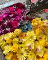 札幌諏訪神社の手水舎