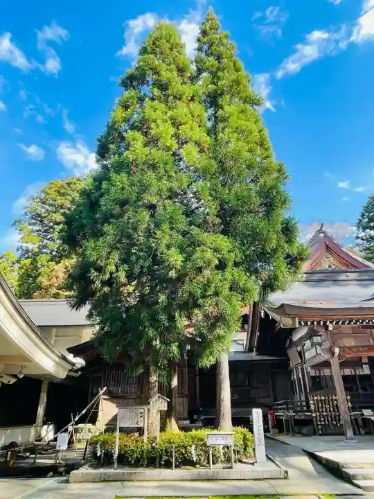 白山比咩神社(石川県)