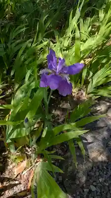 得浄明院(善光寺別院)(京都府)